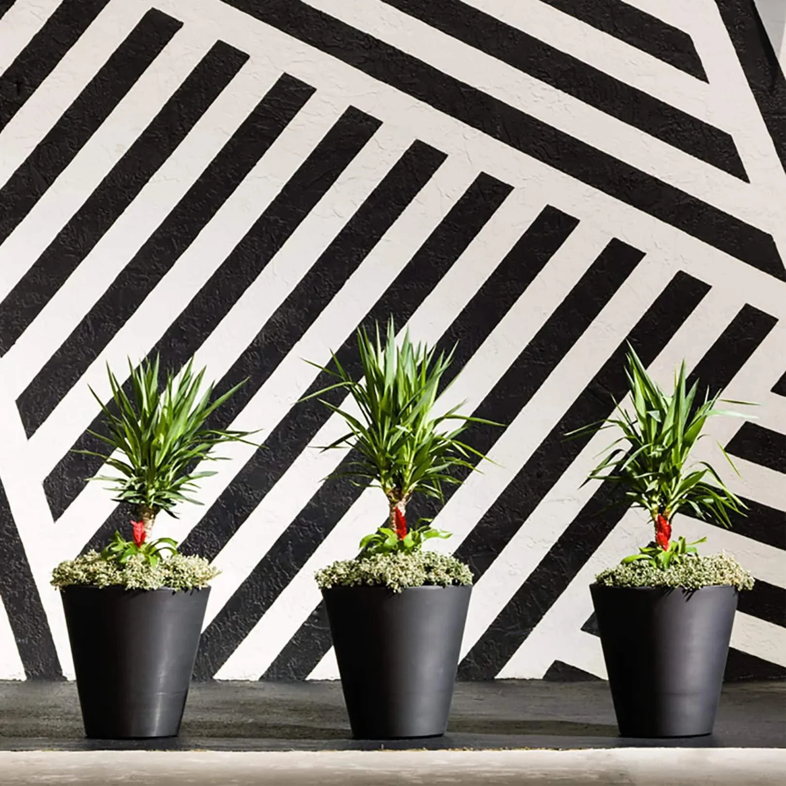 Madison Planters