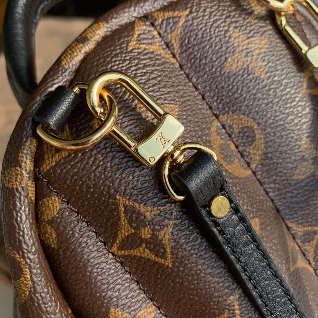 Louis Vuitton Palm Springs Backpack PM Monogram Canvas – 22cm/8.7in