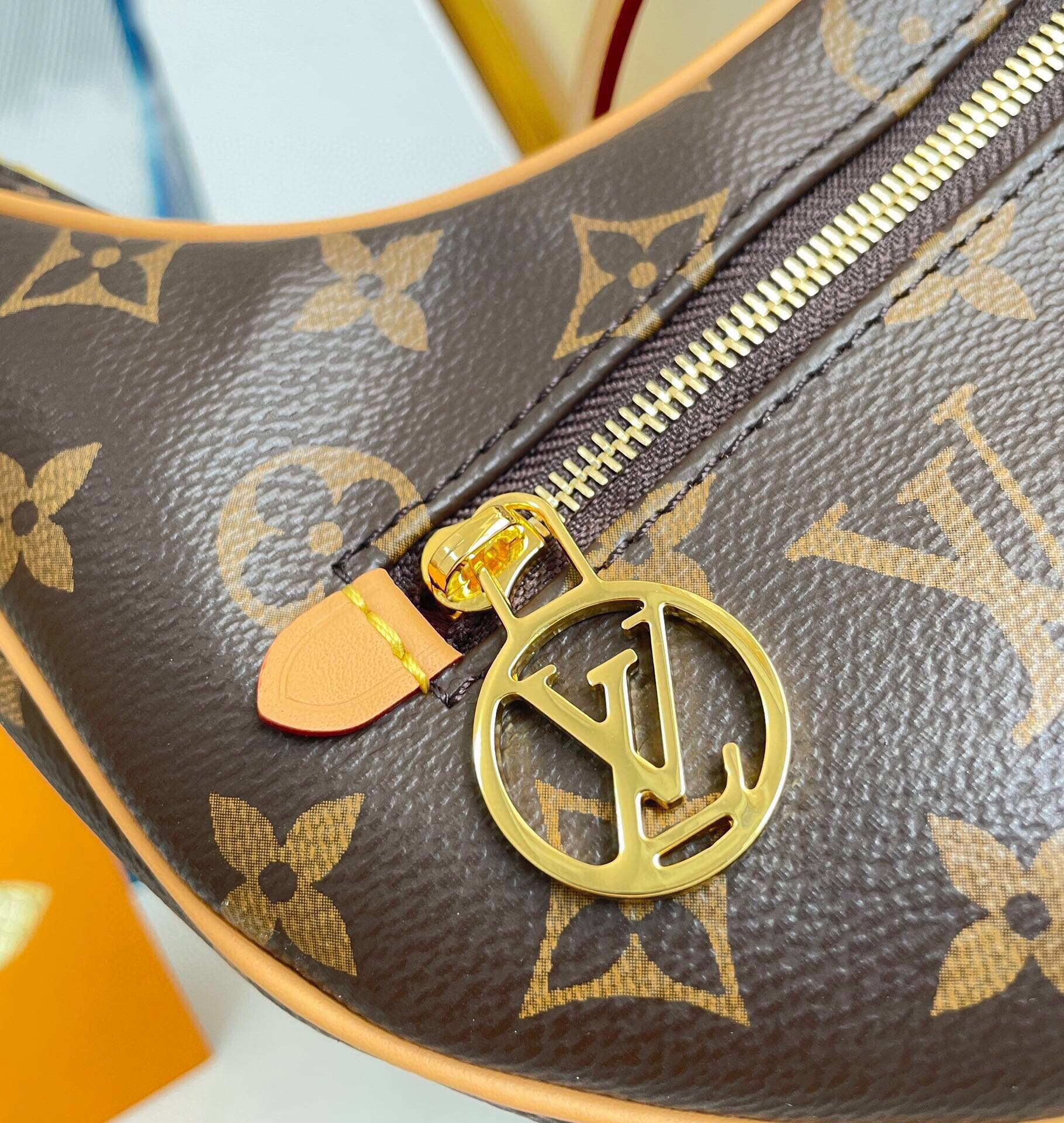 Louis Vuitton Loop Bag Monogram Canvas M81098 23cm/9.1in