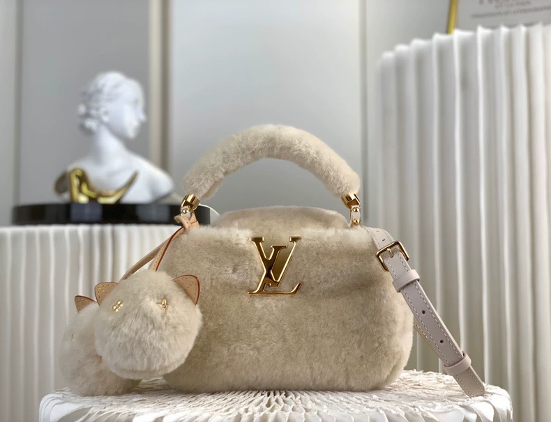 LOUIS VUITTON M26324 LV Ski Capusnow