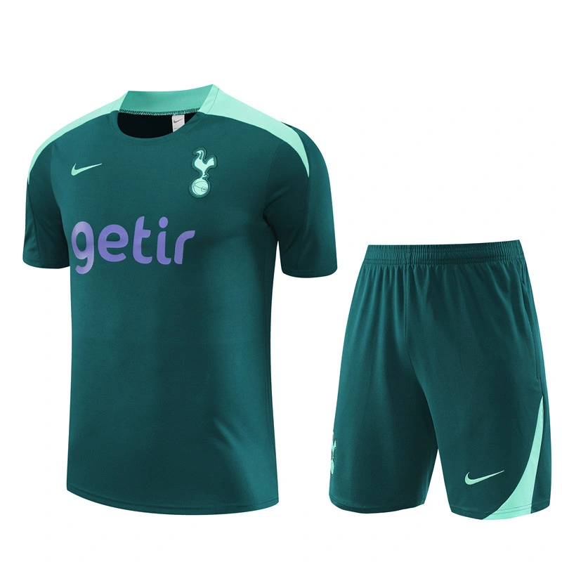 2024-25 Tottenham Short-sleeved training clothese