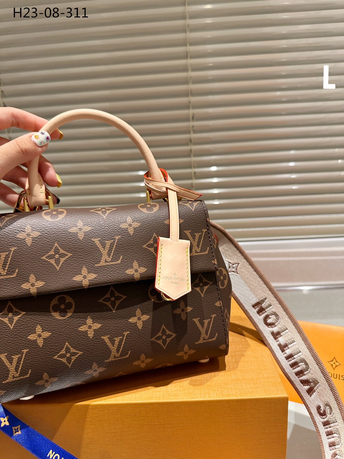 Louis Vuitton Cluny Mini Monogram Canvas 20Cm M46055