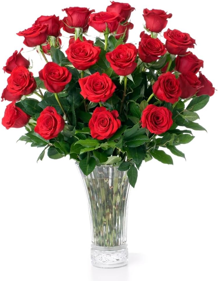 Aquarossa Farms – Flowers for Delivery, Fresh Flowers Bouquet, Handpicked from the Farm, Gift for Birthday, Anniversary, or Just Because – 24 Fresh Roses