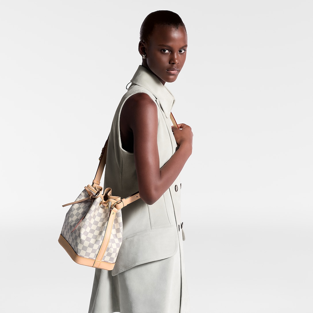Louis Vuitton Noé Bb 24cm N40594