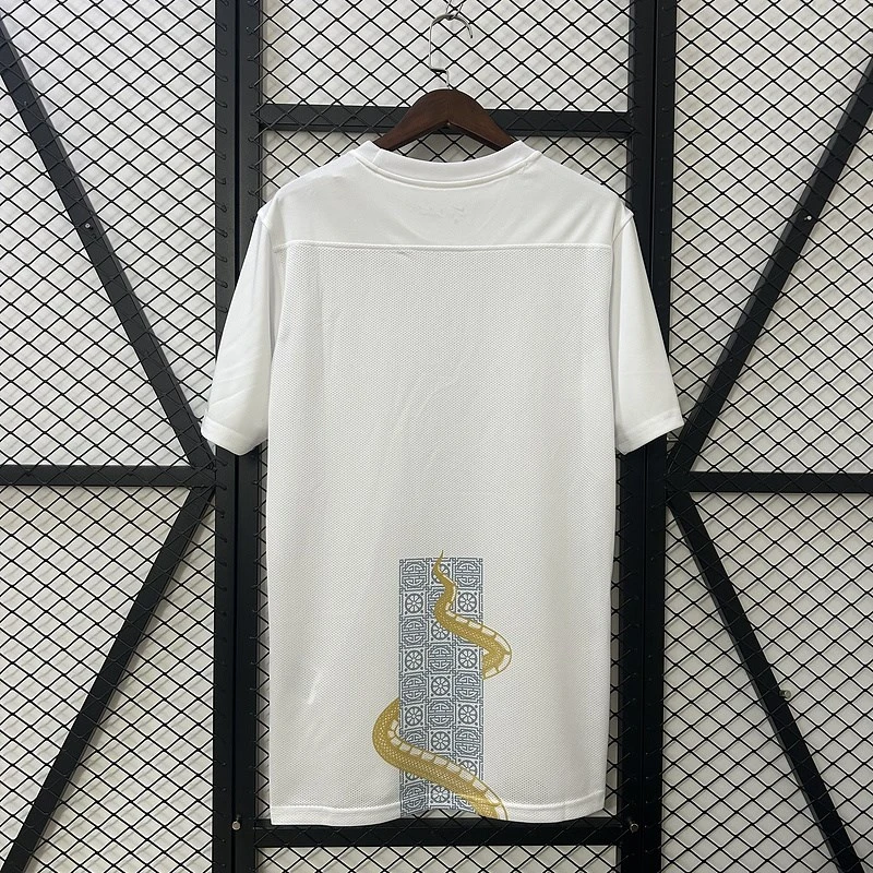 2025-26 Tottenham Especial Football jersey