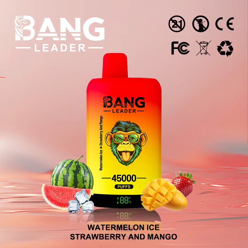 Bang Leader 45K Puffs 2-in-1 Prefilled Vape | Dual Flavor,  Rechargeable