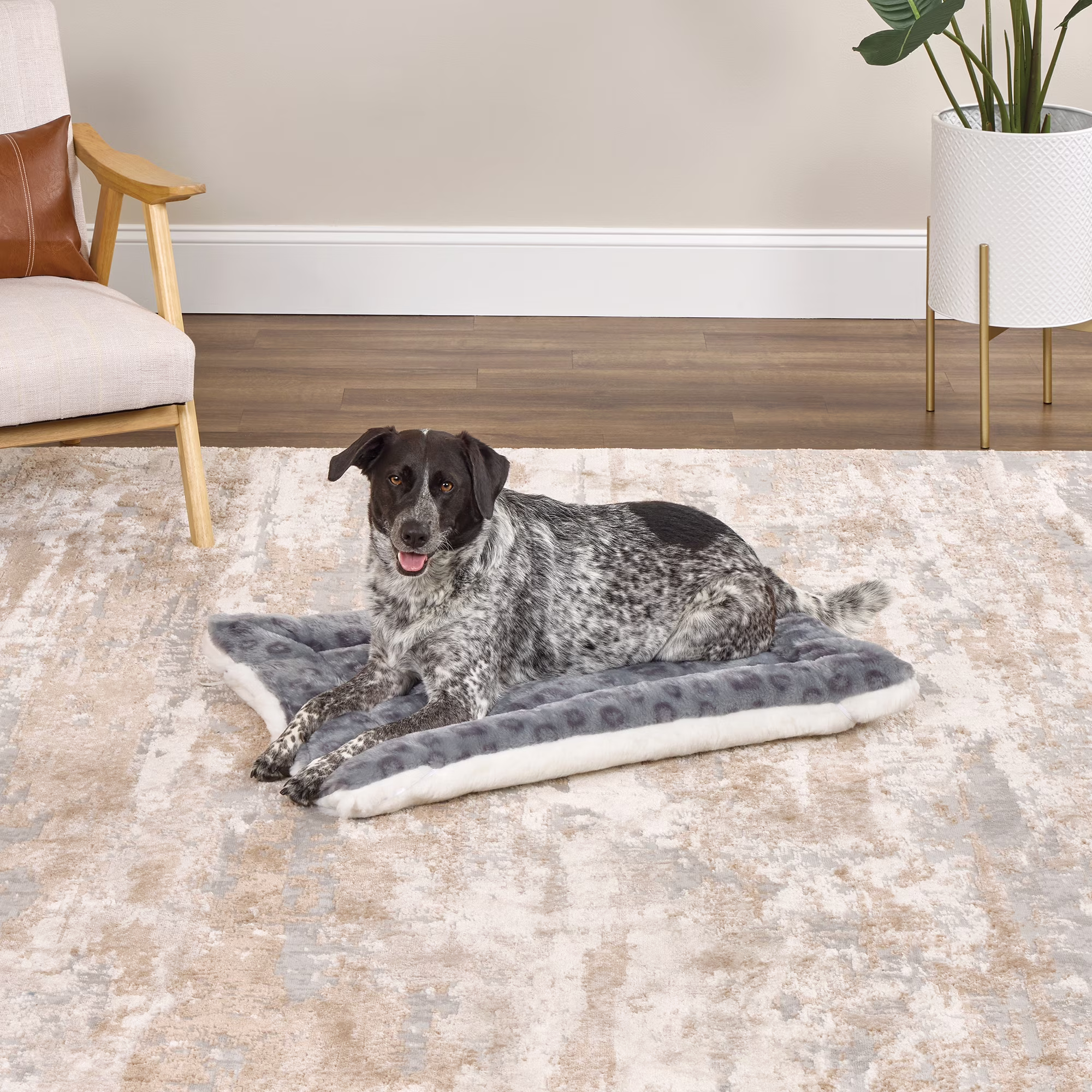 MidWest Homes for Pets Reversible Pet Bed; Machine Washable; Great for Intermediate Dog Breeds; Spotted Gray; 36"; 40236-FVGYS