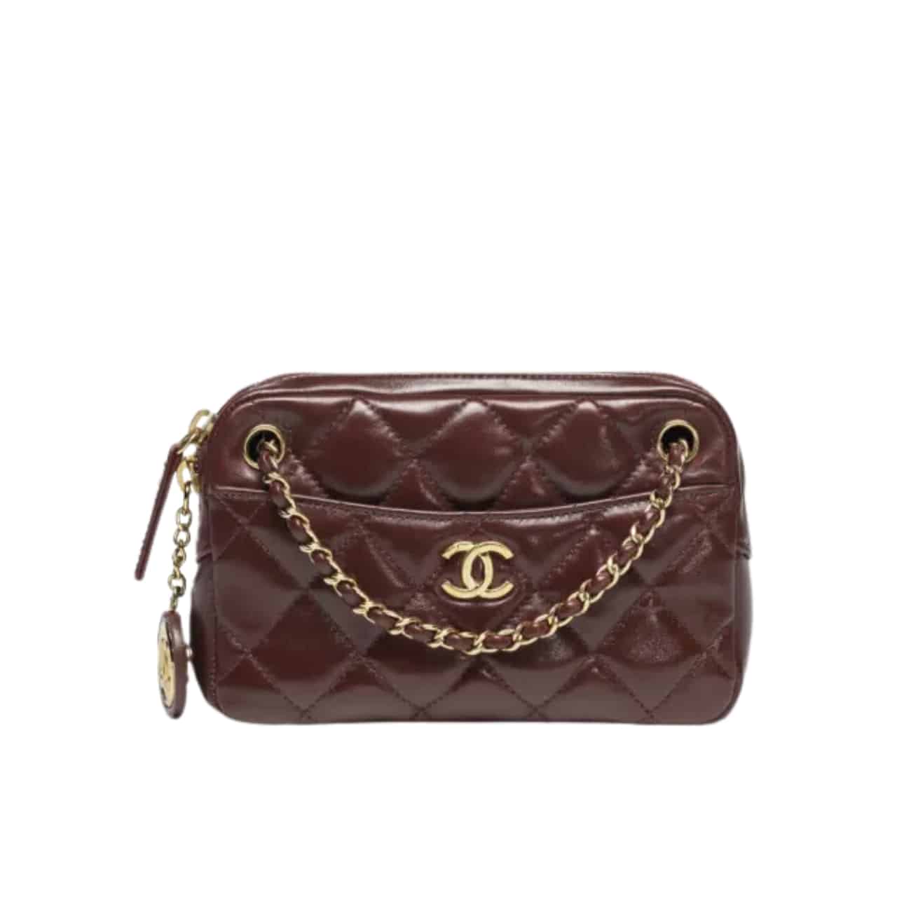 Chanel Mini Camera Case Dark Brown 18Cm/7.1in As5190 B18306 Nzv43