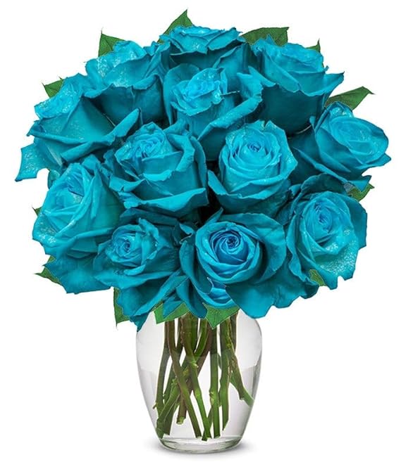 From You Flowers - One Dozen Teal Roses with Glass Vase | Fresh Flower Bouquets for Birthday, Anniversary, Get Well or Celebration