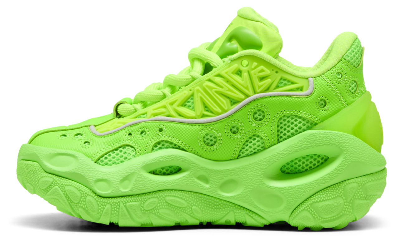 PUMA LaFrance RNR Bonds