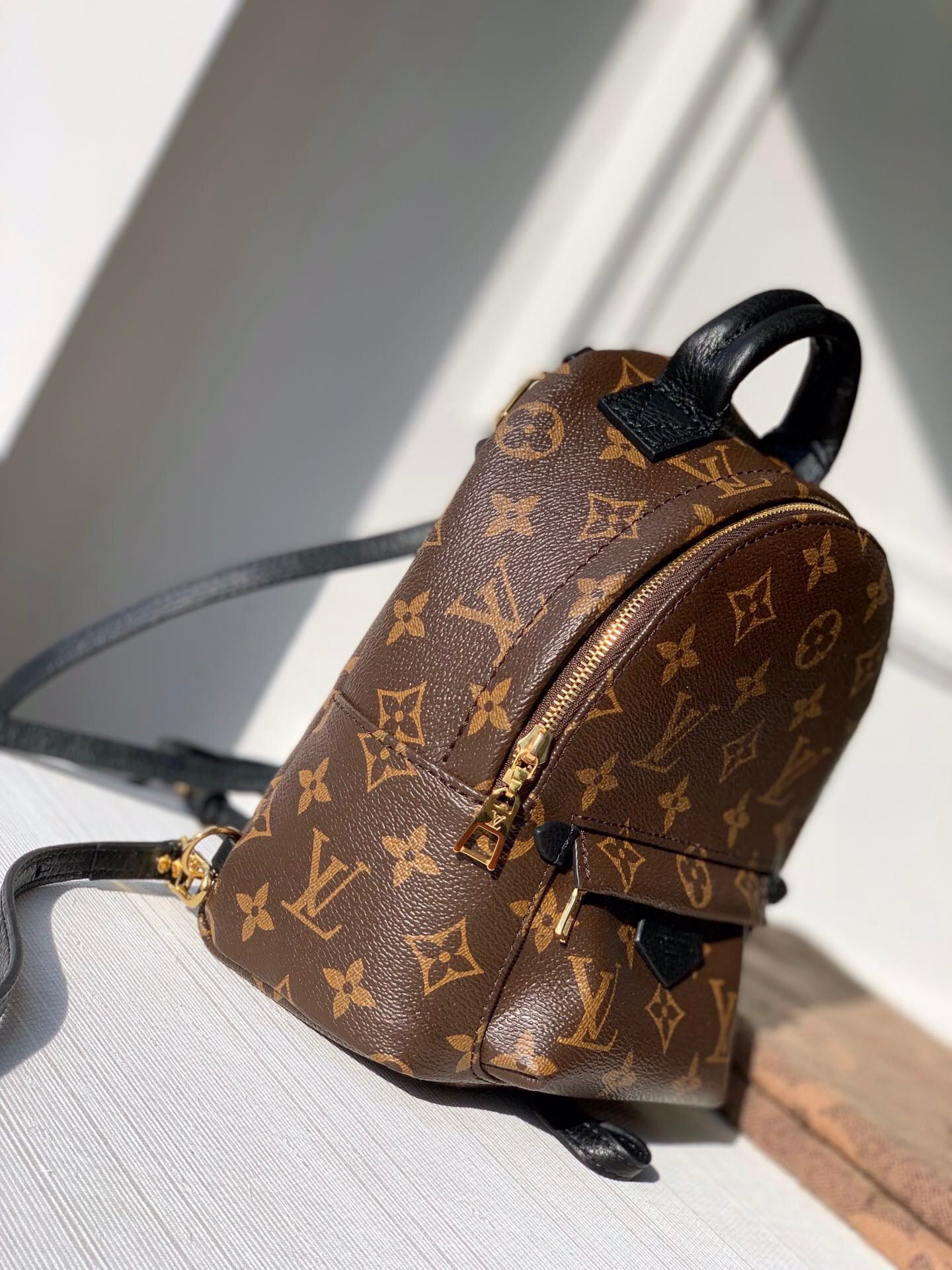 Louis Vuitton Palm Springs Backpack PM Monogram Canvas – 22cm/8.7in