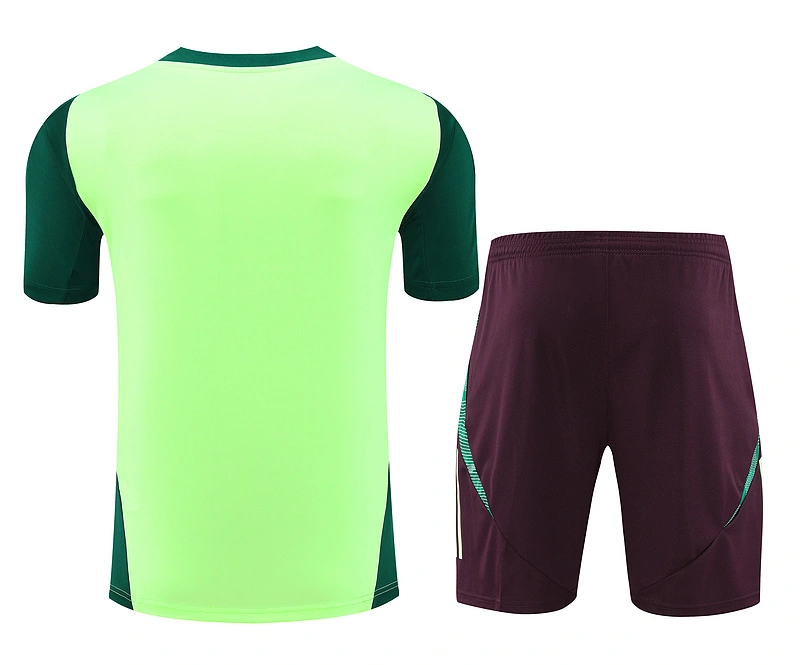 2024-25 Mexico Short-sleeved training clothese