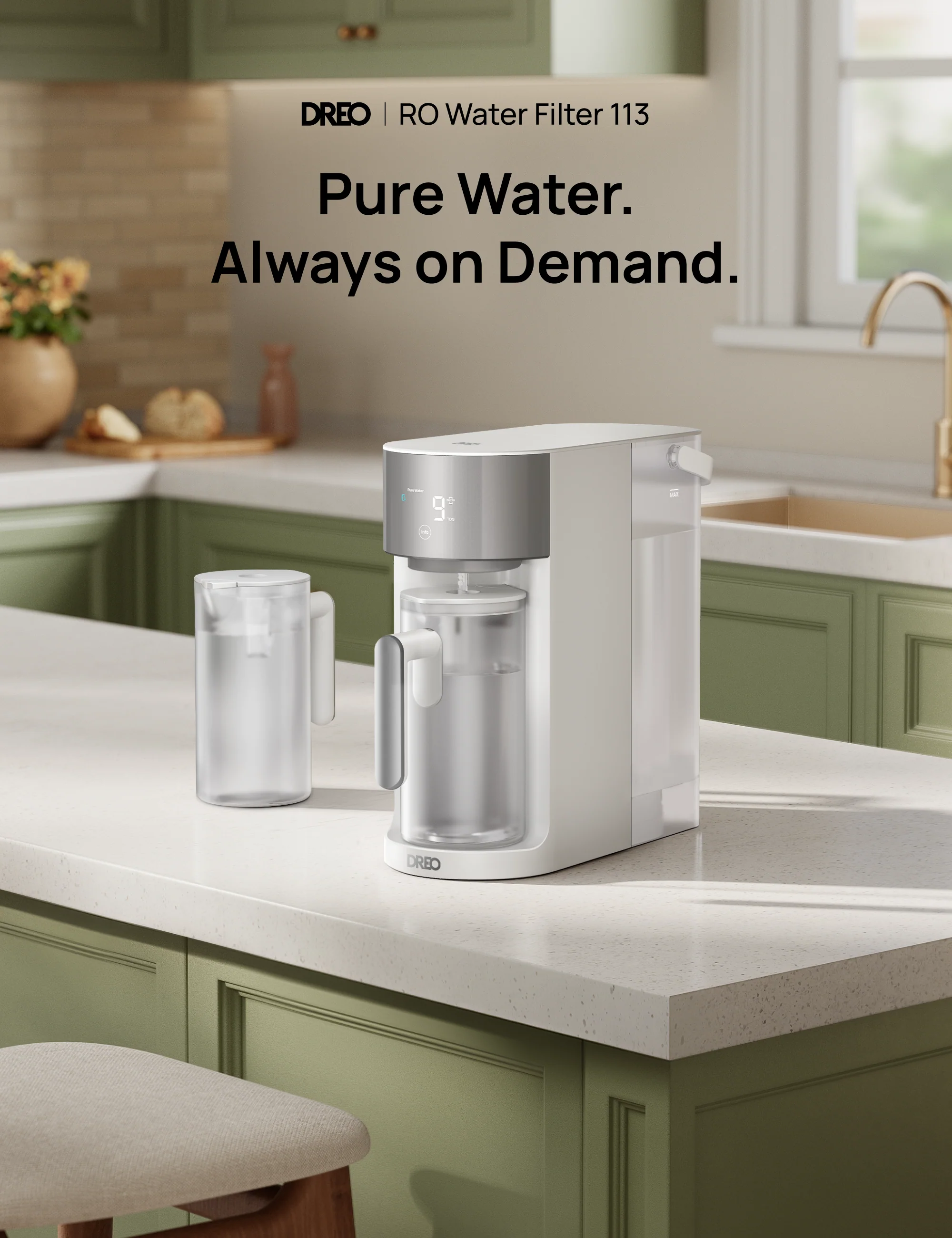 RO Water Filter 113