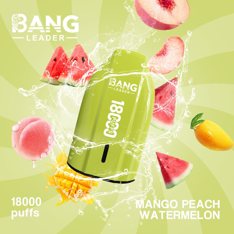 Bang Leader 18K Puffs Prefilled Vape |  Rechargeable