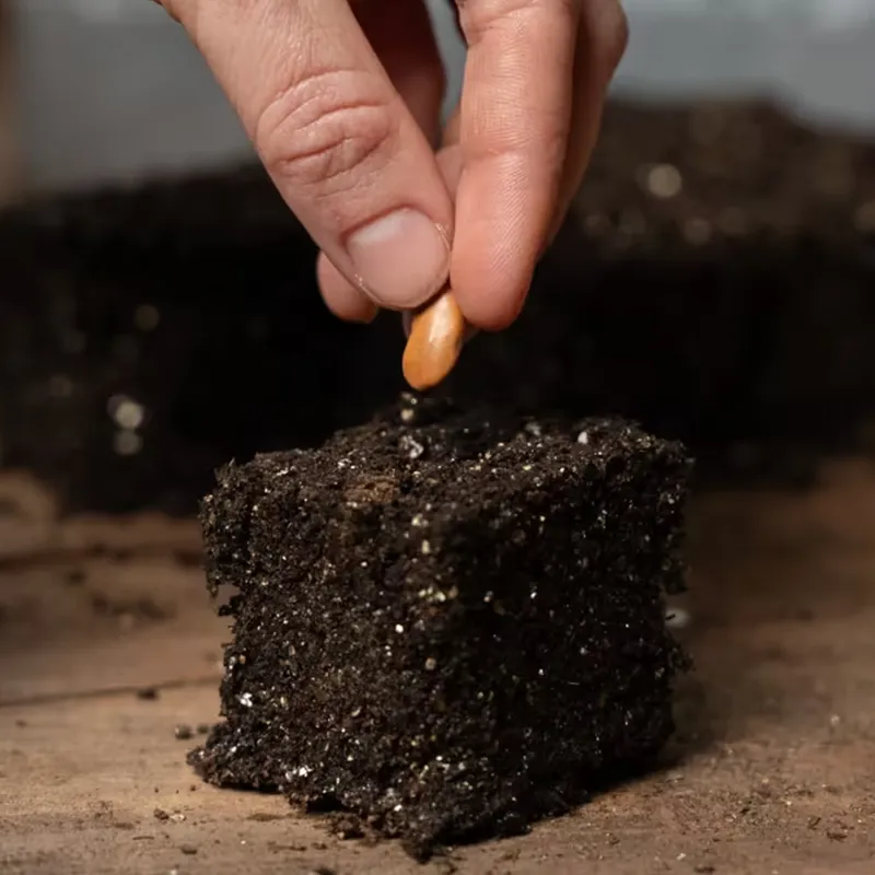 Soil Blocker 8 CELL