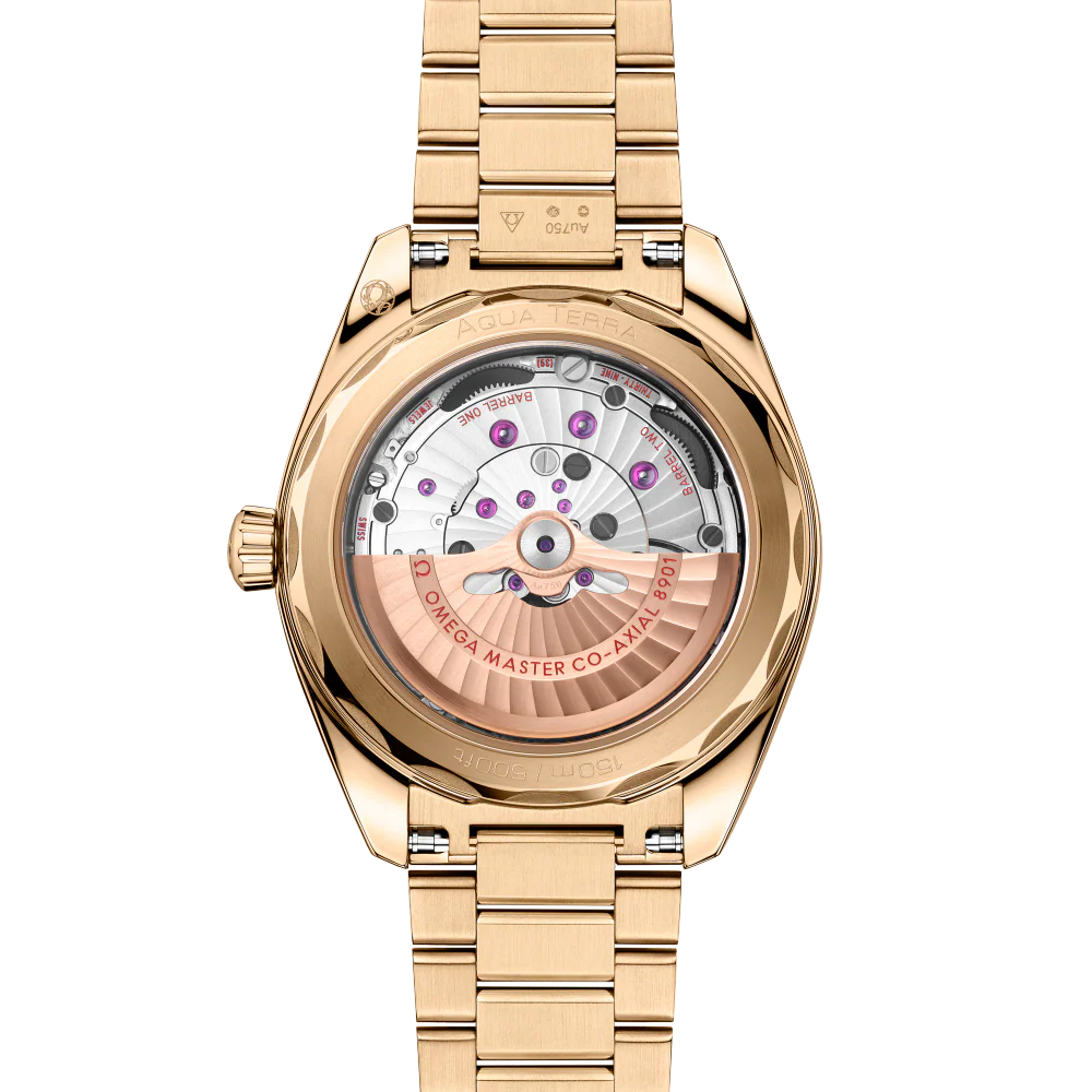 OMEGA Seamaster Aqua Terra 41 mm Green Dial Stainless Steel and Sedna™ 18k Yellow Gold Strap 220.50.41.21.10.001