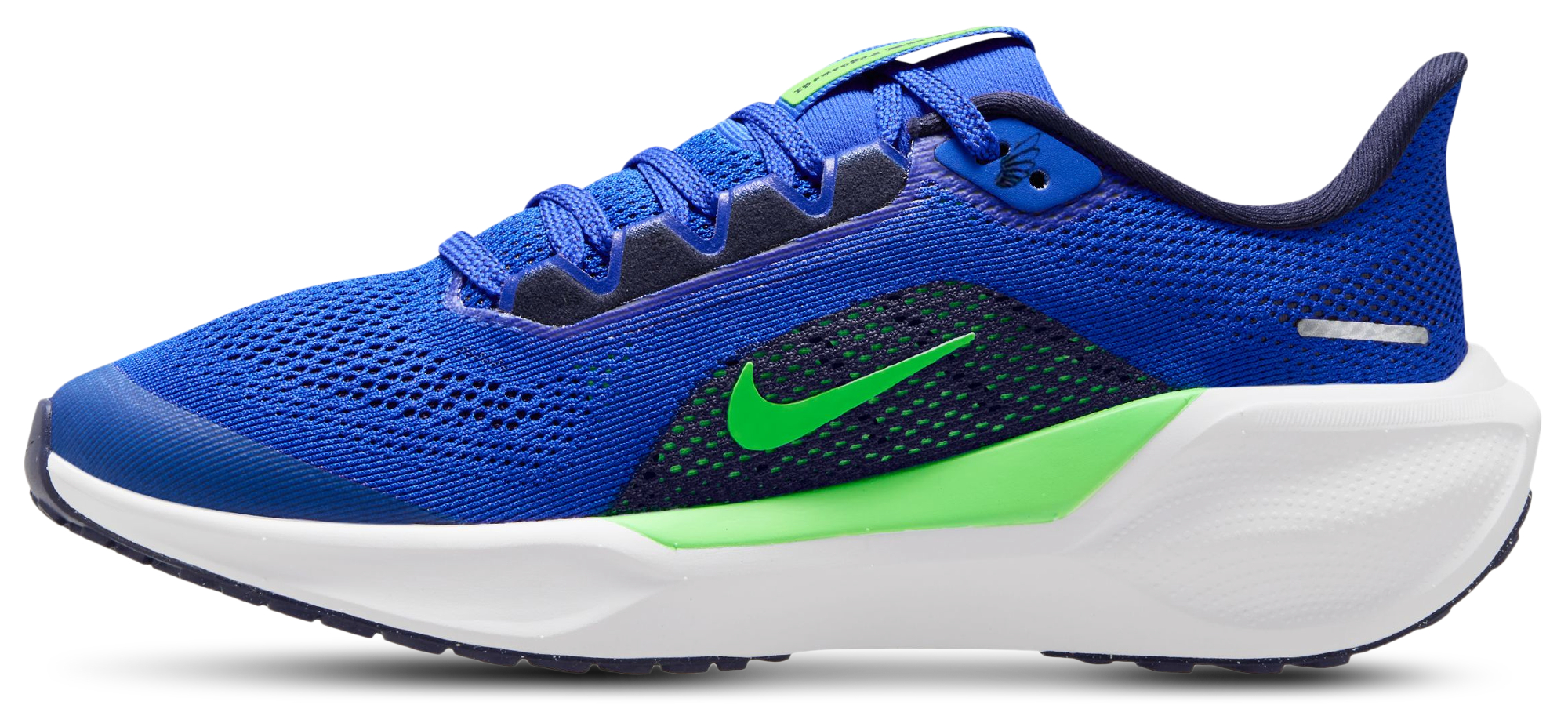 Nike Air Zoom Pegasus 41