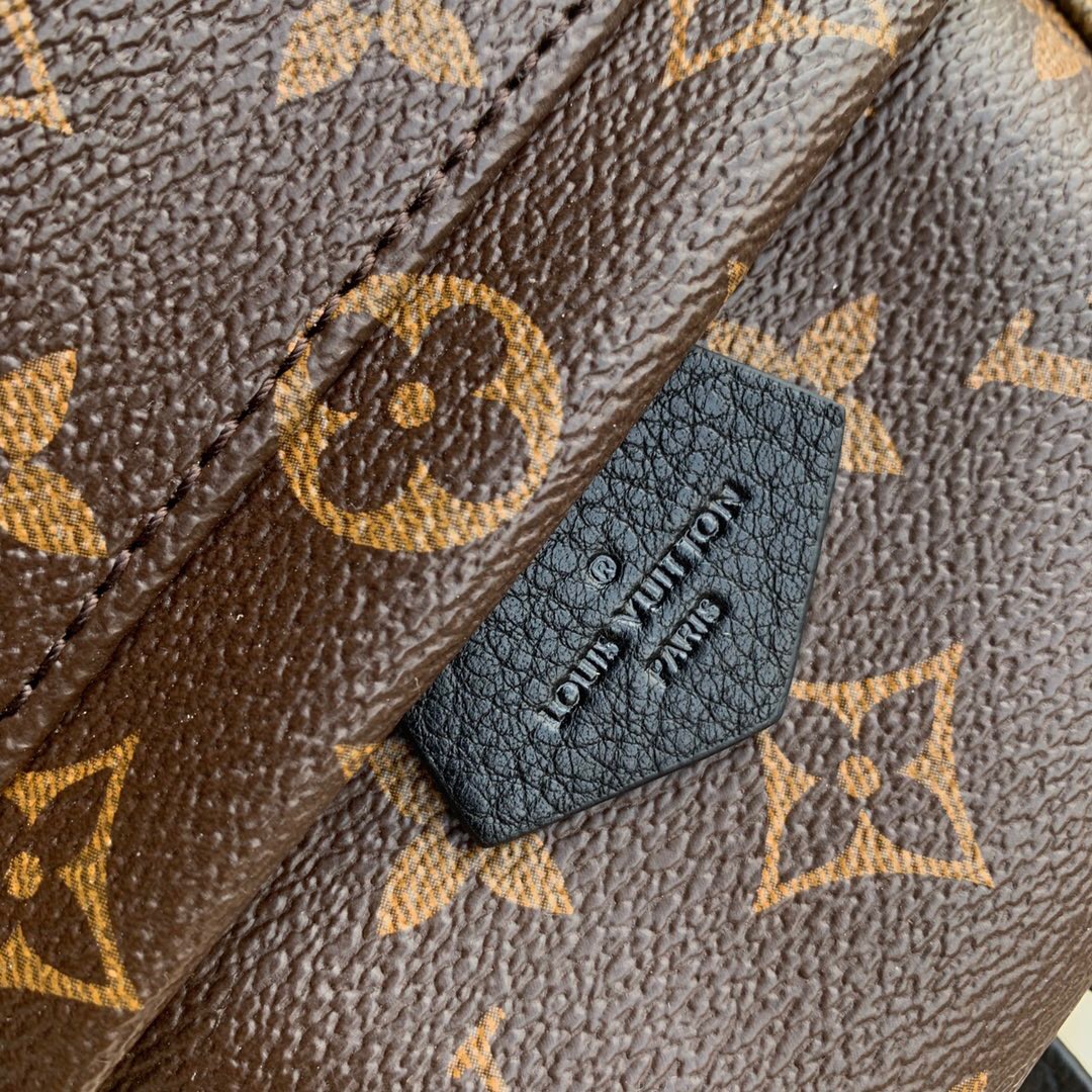 Louis Vuitton Palm Springs Mini Backpack Monogram Canvas 22cm M44873