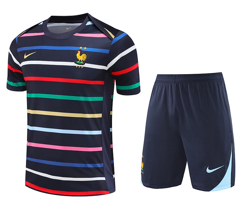 2024-25 France Short-sleeved training clothes