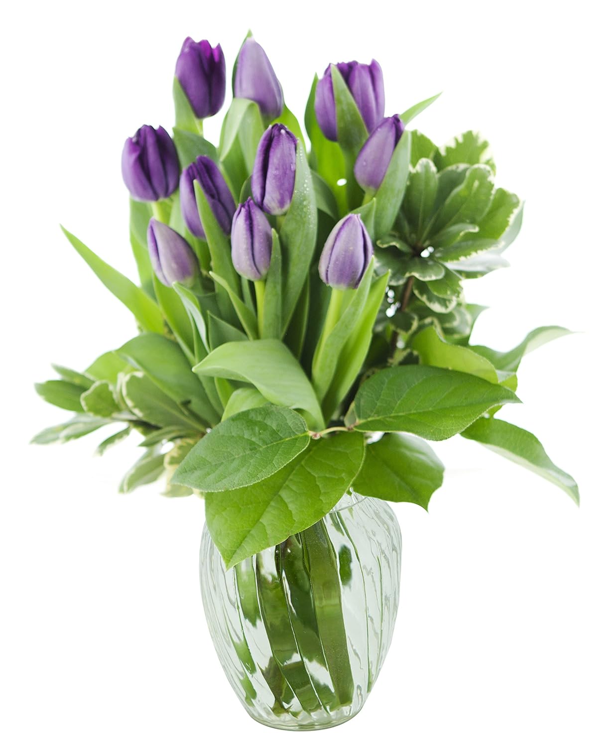 KaBloom PRIME NEXT DAY DELIVERY - Fall Collection - Bouquet of 10 Purple Tulips and Lush Greens with Vase.Gift for Birthday, Get Well, Thank You, Valentine, Mother’s Day Fresh Flowers