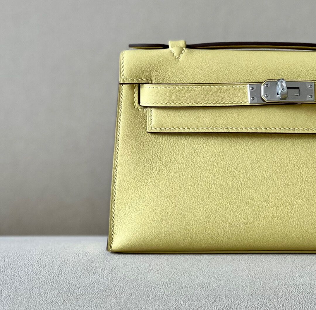 Kelly1 Mini 22 Swift