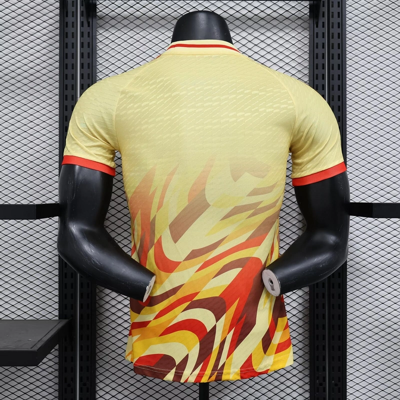 2024-25 Spain PLAYER Football jersey
