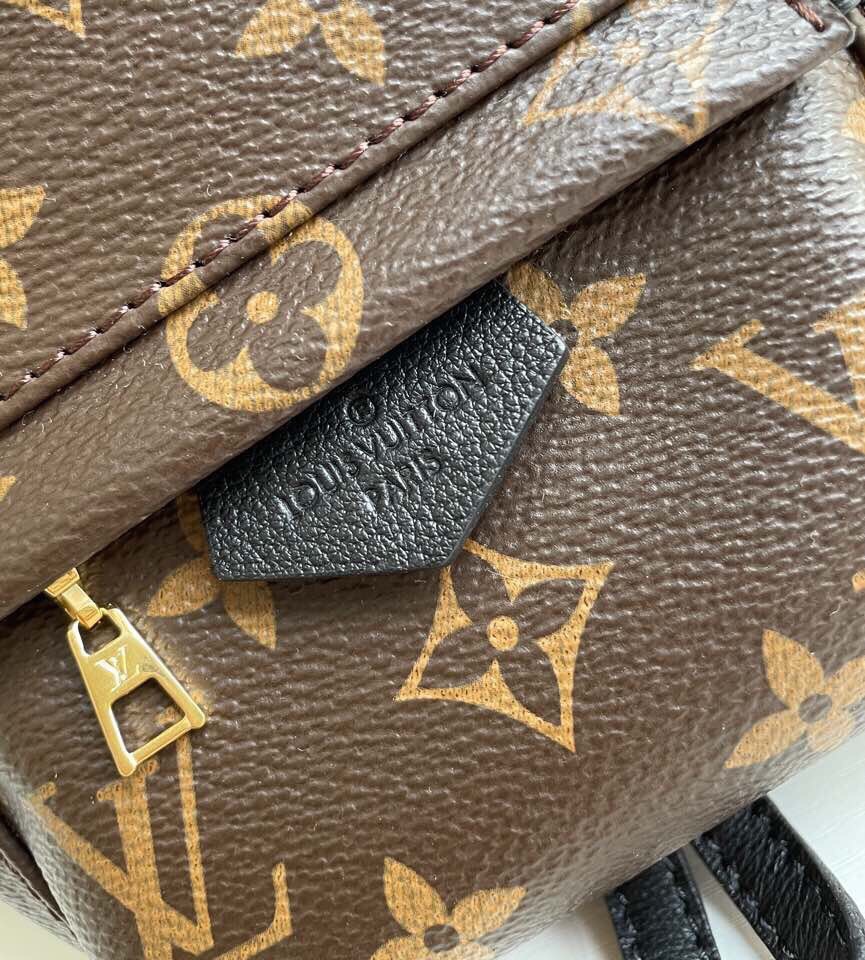 Louis Vuitton Palm Springs Backpack Mini Monogram Canvas – 17cm/6.7in