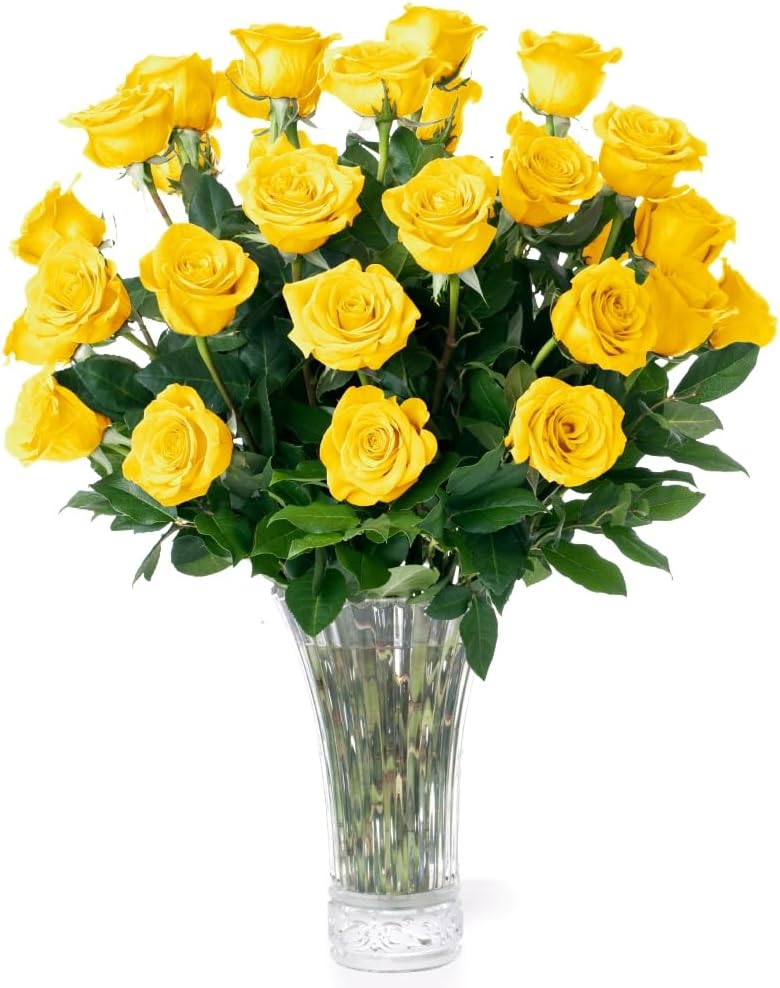 Aquarossa Farms – Flowers for Delivery, Fresh Flowers Bouquet, Handpicked from the Farm, Gift for Birthday, Anniversary, or Just Because – 24 Fresh Roses