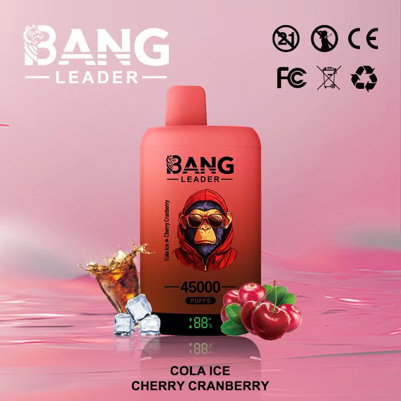 Bang Leader 45K Puffs 2-in-1 Prefilled Vape | Dual Flavor,  Rechargeable
