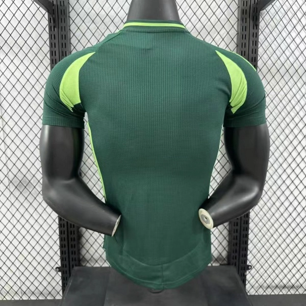 Player 2024-25 Algerian Away Football jersey