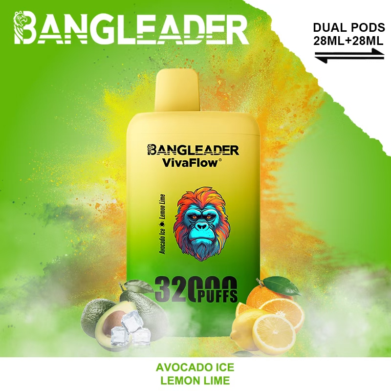 [Minimum order of 3]Bang Leader 32K Puffs 2-in-1 Prefilled Vape | Dual Flavor,  Rechargeable