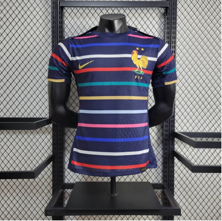 Player 2024-25 France Training Football jersey