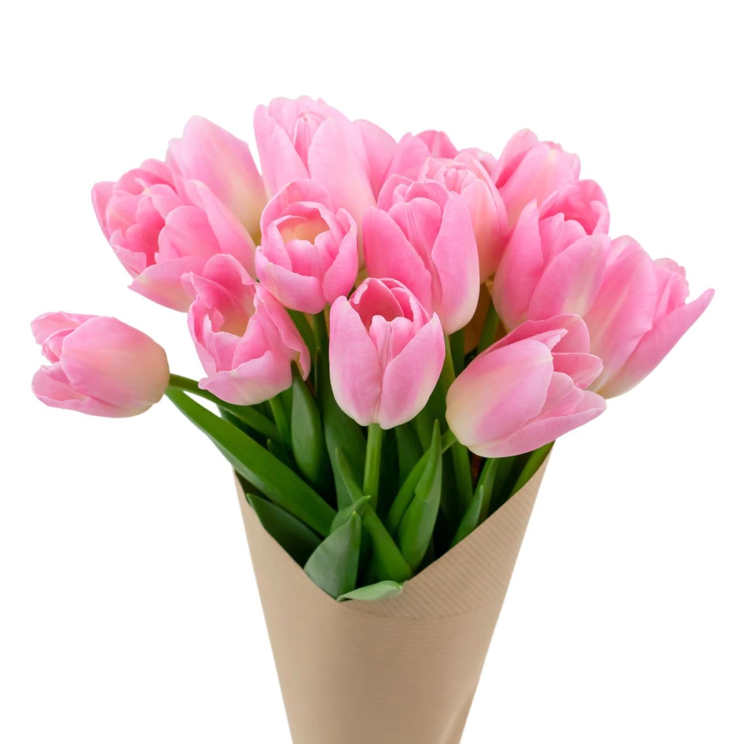 STARGAZER BARN 15 Stem Pink Tulip Bouquet (Vase Not Included) - Hand-Tied in the USA - Fresh Flower Delivery for Birthday, Anniversary, Sympathy, Home Decor, Wedding, Easter