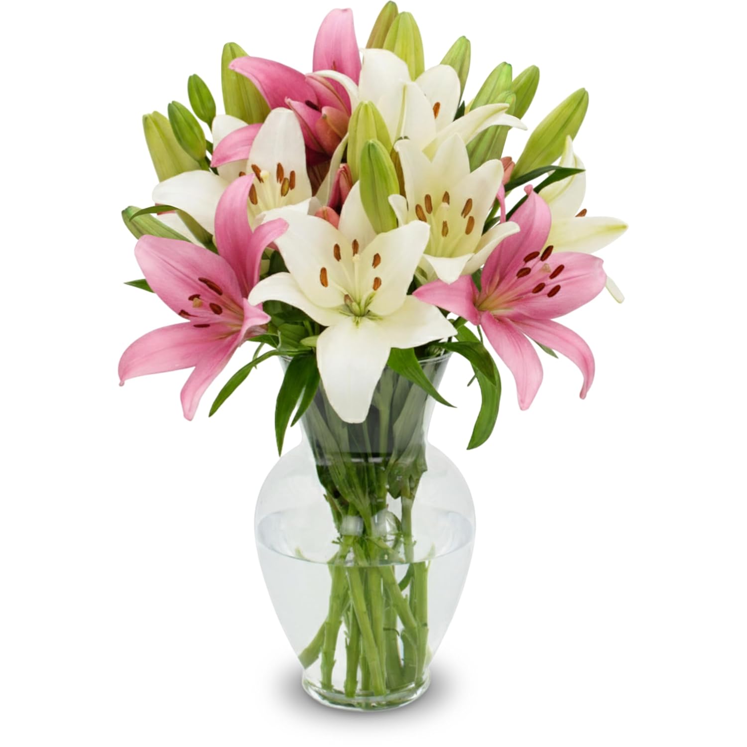 STARGAZER BARN 10 Stem Pink & White Lily Bouquet (Vase Not Included) - Hand-Tied in the USA - Fresh Flower Delivery for Birthday, Anniversary, Sympathy, Home Decor, Wedding, Easter