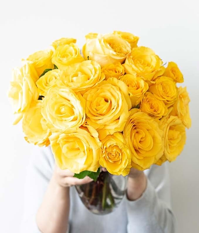 From You Flowers - Two Dozen Yellow Roses with Glass Vase | Fresh Flower Bouquets for Birthday, Anniversary, Get Well or Celebration