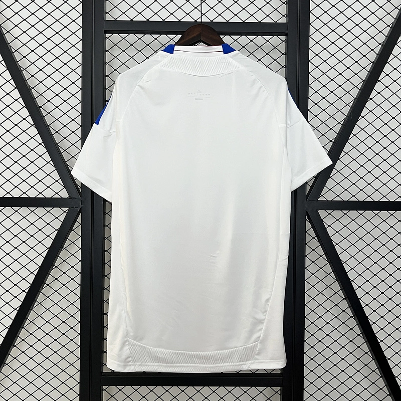 Retro 2010-11 Lyon Home Football jersey retro