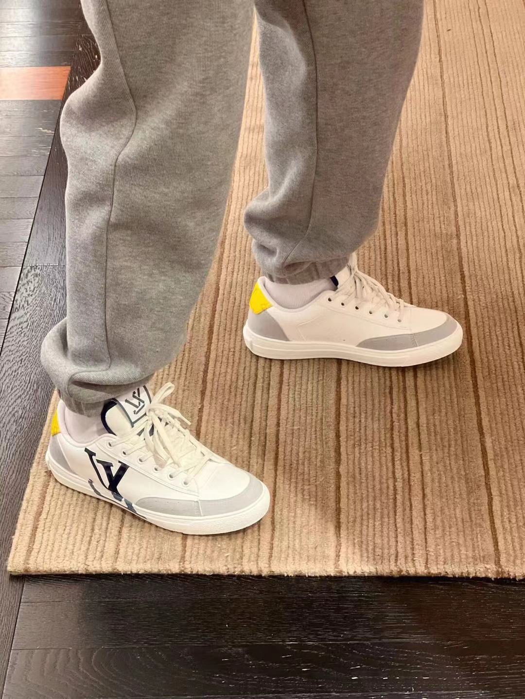 Louis Vuitton Charlie Sneaker 1A9Jlt