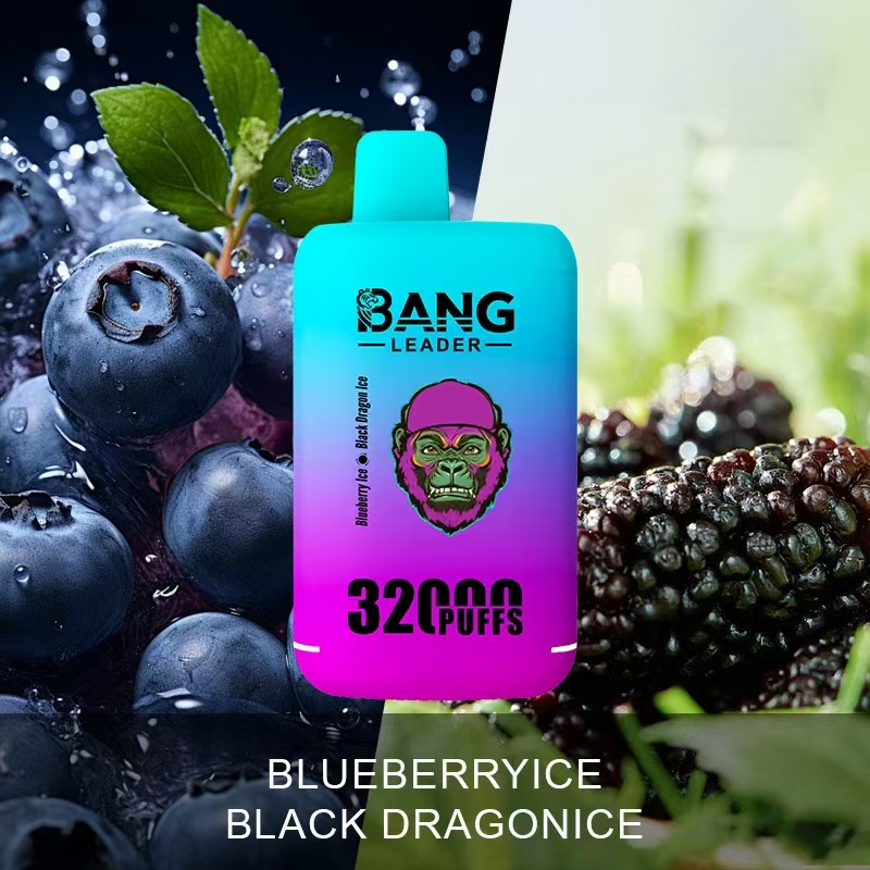 [Minimum order of 3]Bang Leader 32K Puffs 2-in-1 Prefilled Vape | Dual Flavor,  Rechargeable