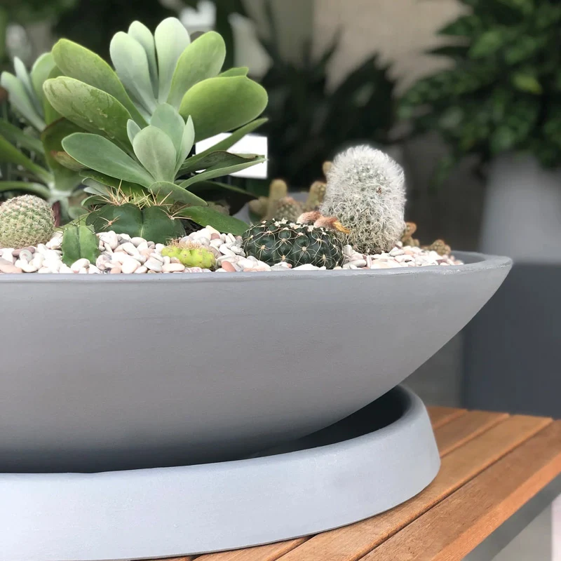 Universal Round Planter Saucers
