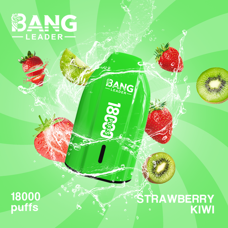 Bang Leader 18K Puffs Prefilled Vape |  Rechargeable