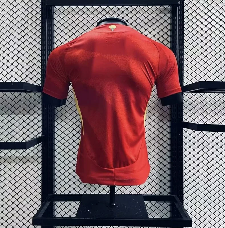 2024-25 Spain Euro Home Jersey Player Version