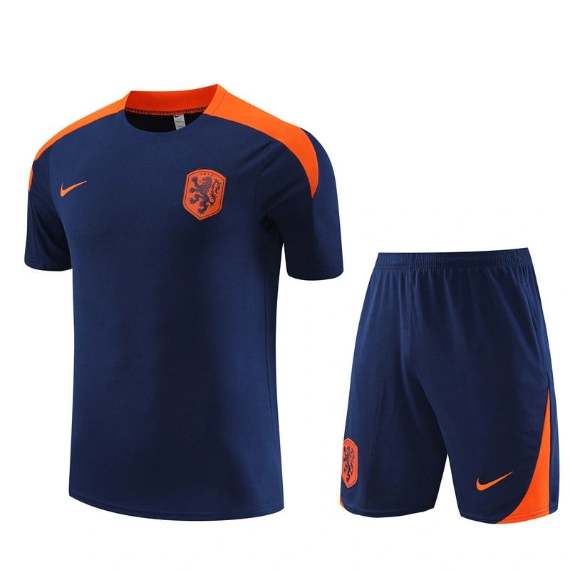 2024-25 Netherlands Short-sleeved training clothese