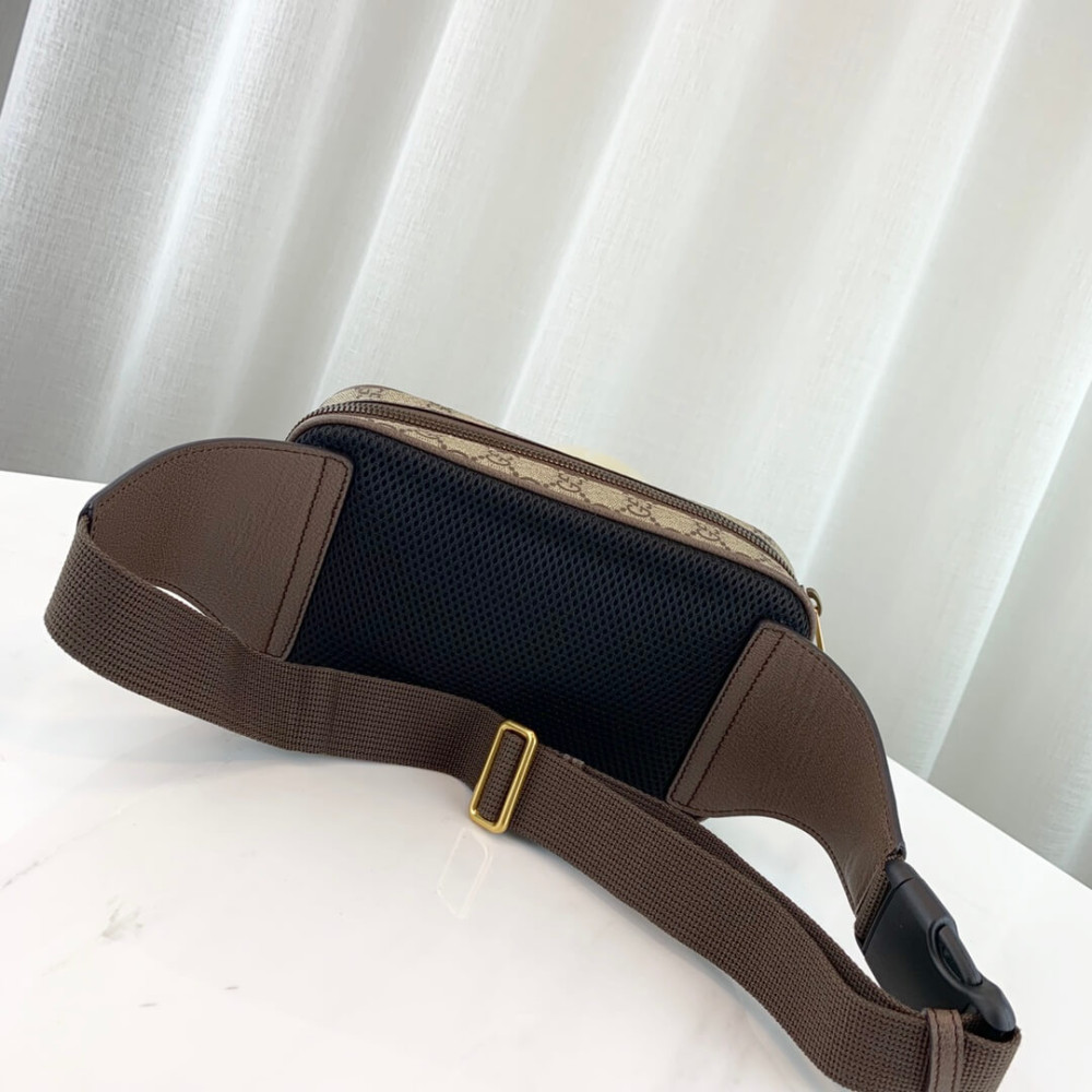 Gucci Ophidia GG Belt Bag