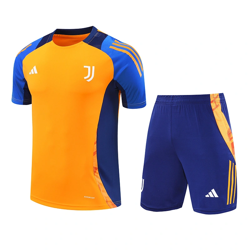 2024-25 Juventus short-sleeved training clothes