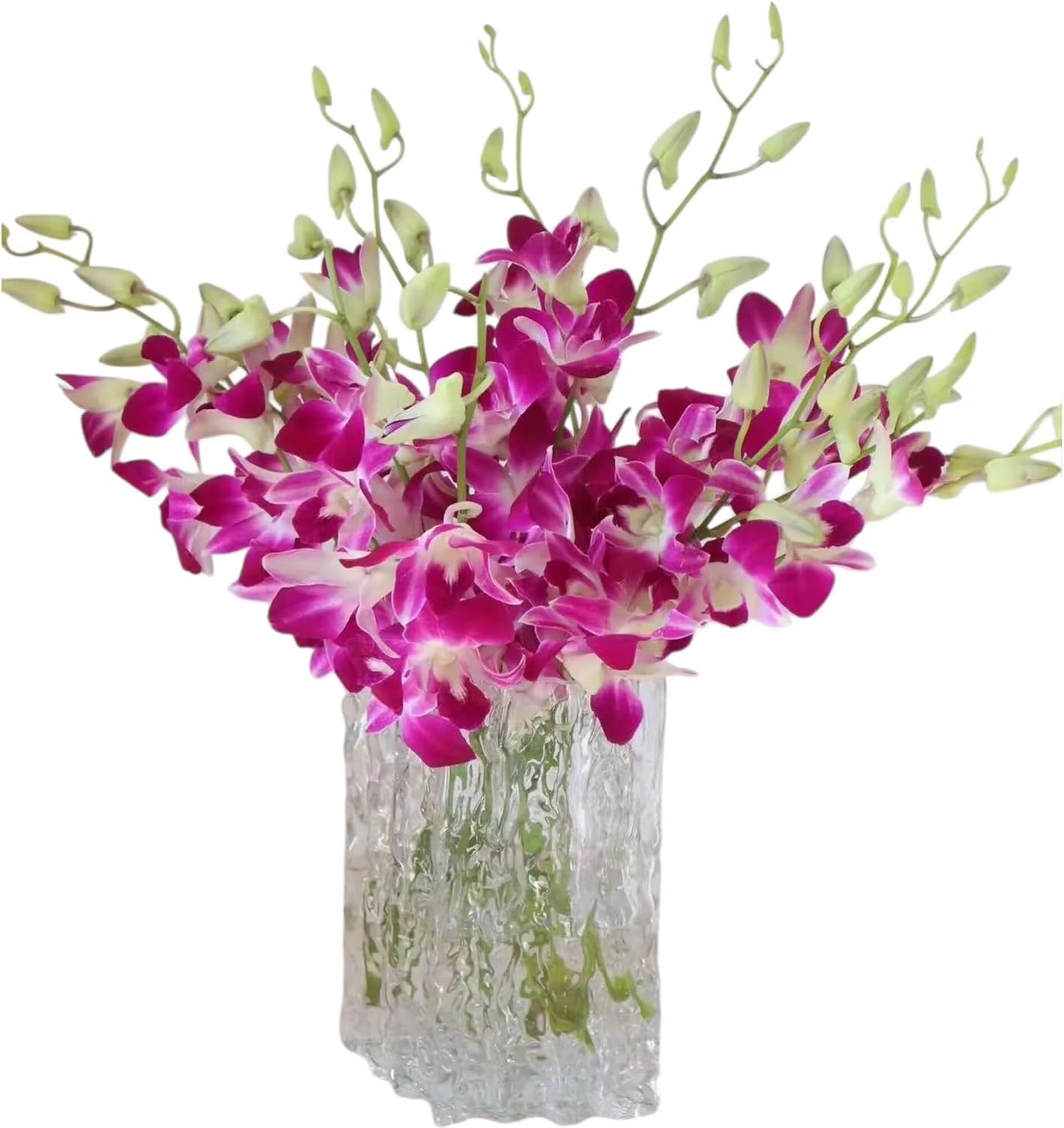 20 Stems purple orchids fresh cut flower gift birthday anniversary Valentine's Day flowers Dendrobium orchid