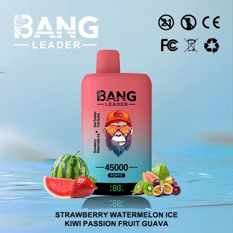 Bang Leader 45K Puffs 2-in-1 Prefilled Vape | Dual Flavor,  Rechargeable