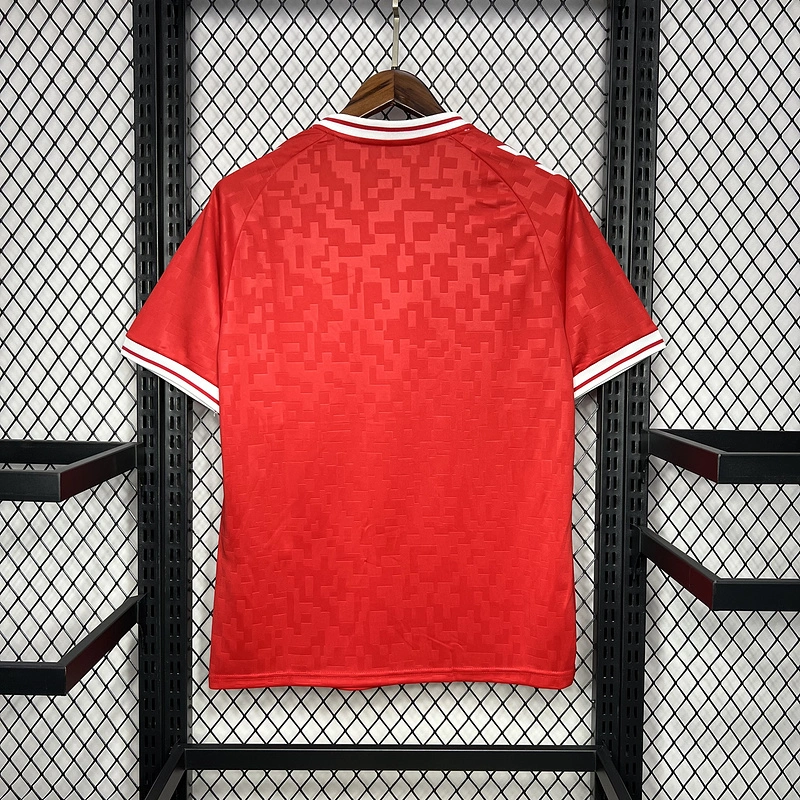 2024-25 Denmark Euro Home Football jersey