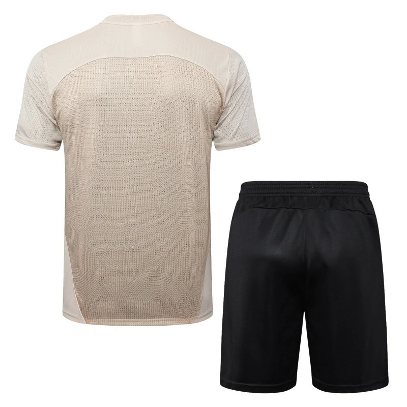 2024-25 Ac Milan Short-sleeved training clothese