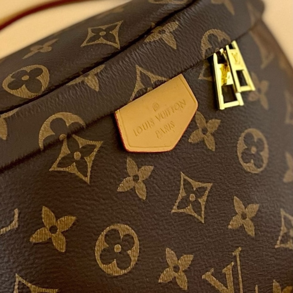 Louis Vuitton Bumbag Monogram 26Cm M43644