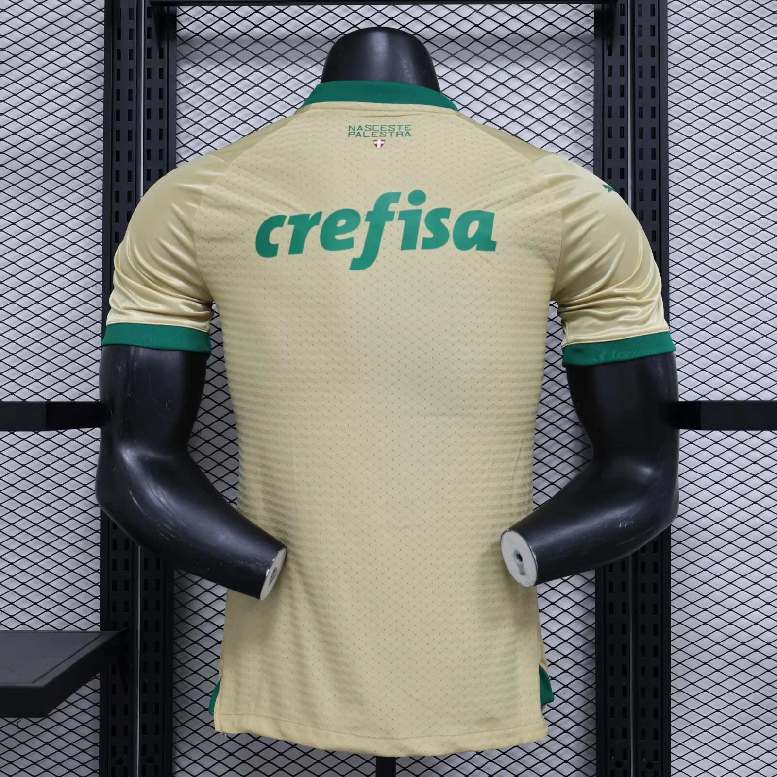 Players 2024-25 Palmeiras Away football jersey